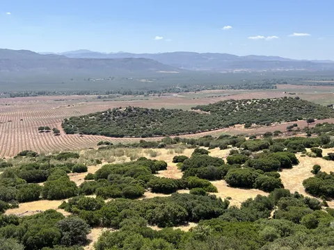 Explotación de olivar y entorno 3