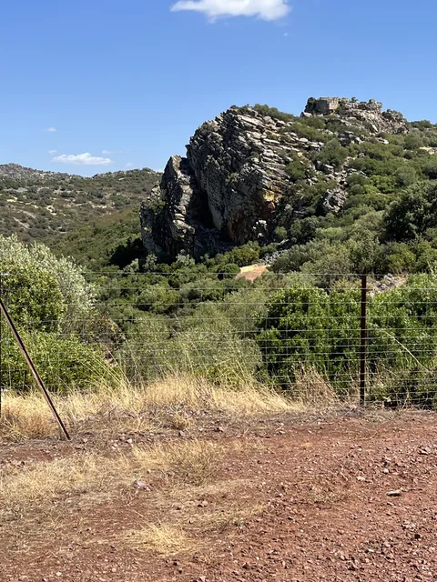 Explotación de olivar y entorno 4